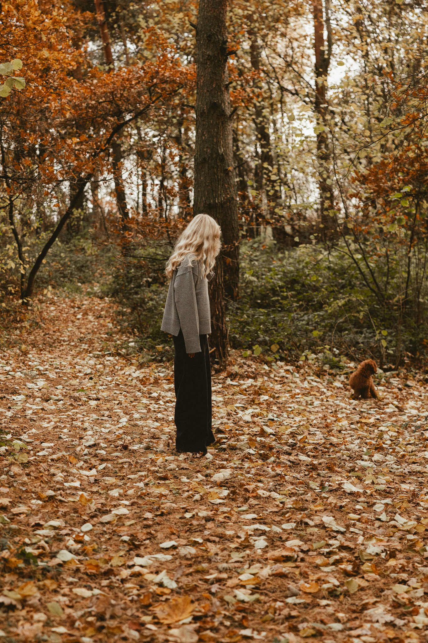 SILK&STORM sweter z jedwabiem soft glow grey